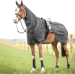 BUSSE Ausreitdecke MOSKITO III Grau/anthrazit, 165 Cm