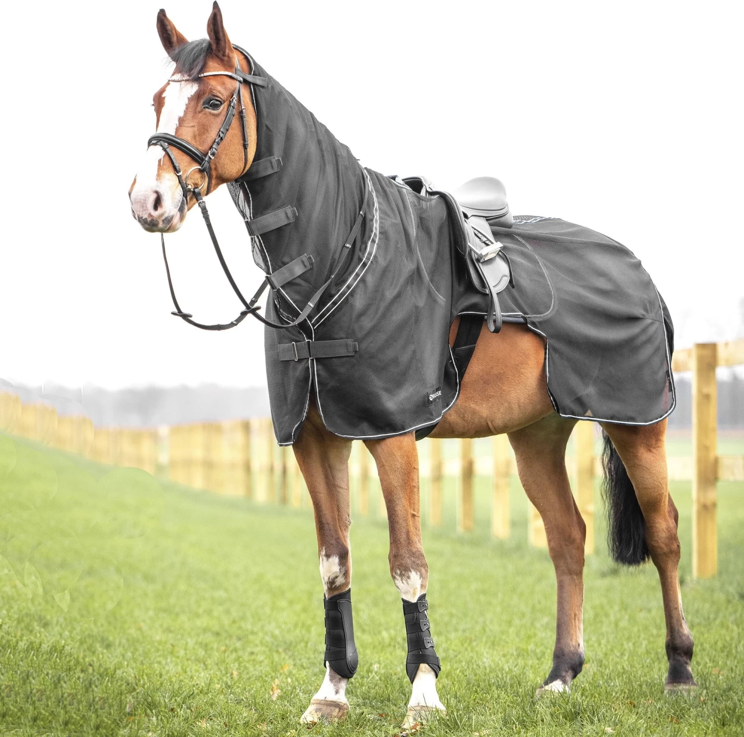 BUSSE Ausreitdecke MOSKITO III Grau/anthrazit, 165 Cm