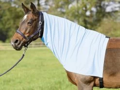 BUSSE Ekzemer Halsteil EXTENSIVE, M (135/145)