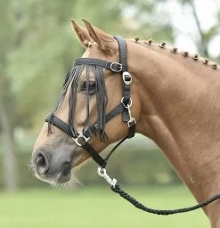 BUSSE Fliegenkordelband TAMPERE Schwarz, WB