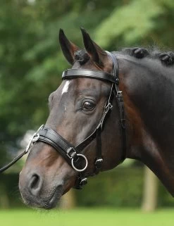 BUSSE Kappzaum FIT-PRO