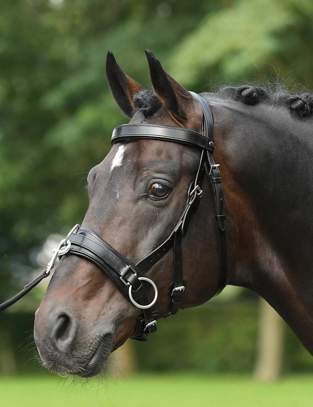 BUSSE Kappzaum FIT-PRO