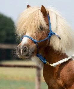 BUSSE Knotenhalfter "SMOOTH II", VB