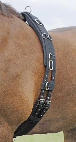 BUSSE Longiergurt PROFI-SOFT, Warmblut