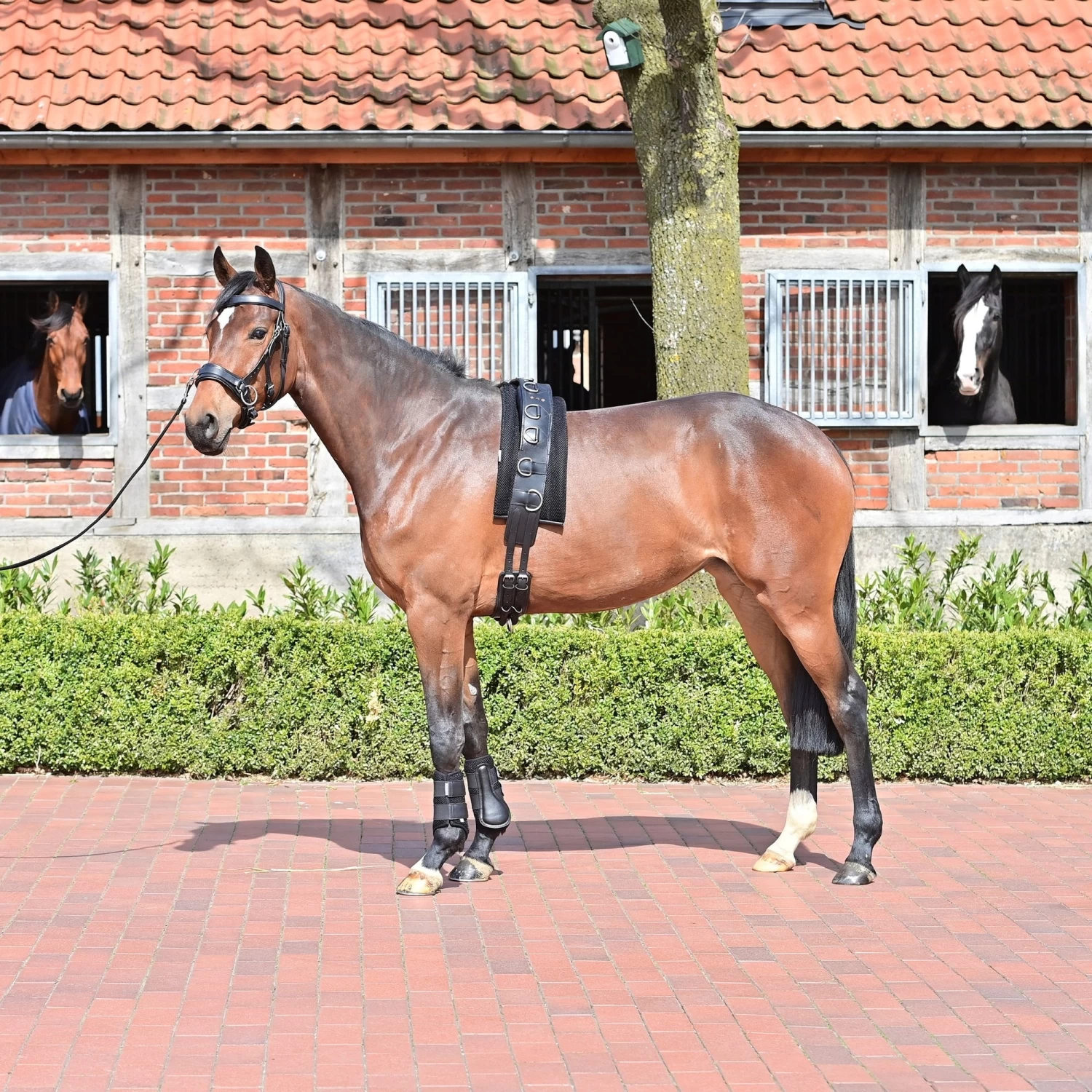 BUSSE Longiergurt-Unterlage 3D AIR EFFECT, Schwarz – Bild 2