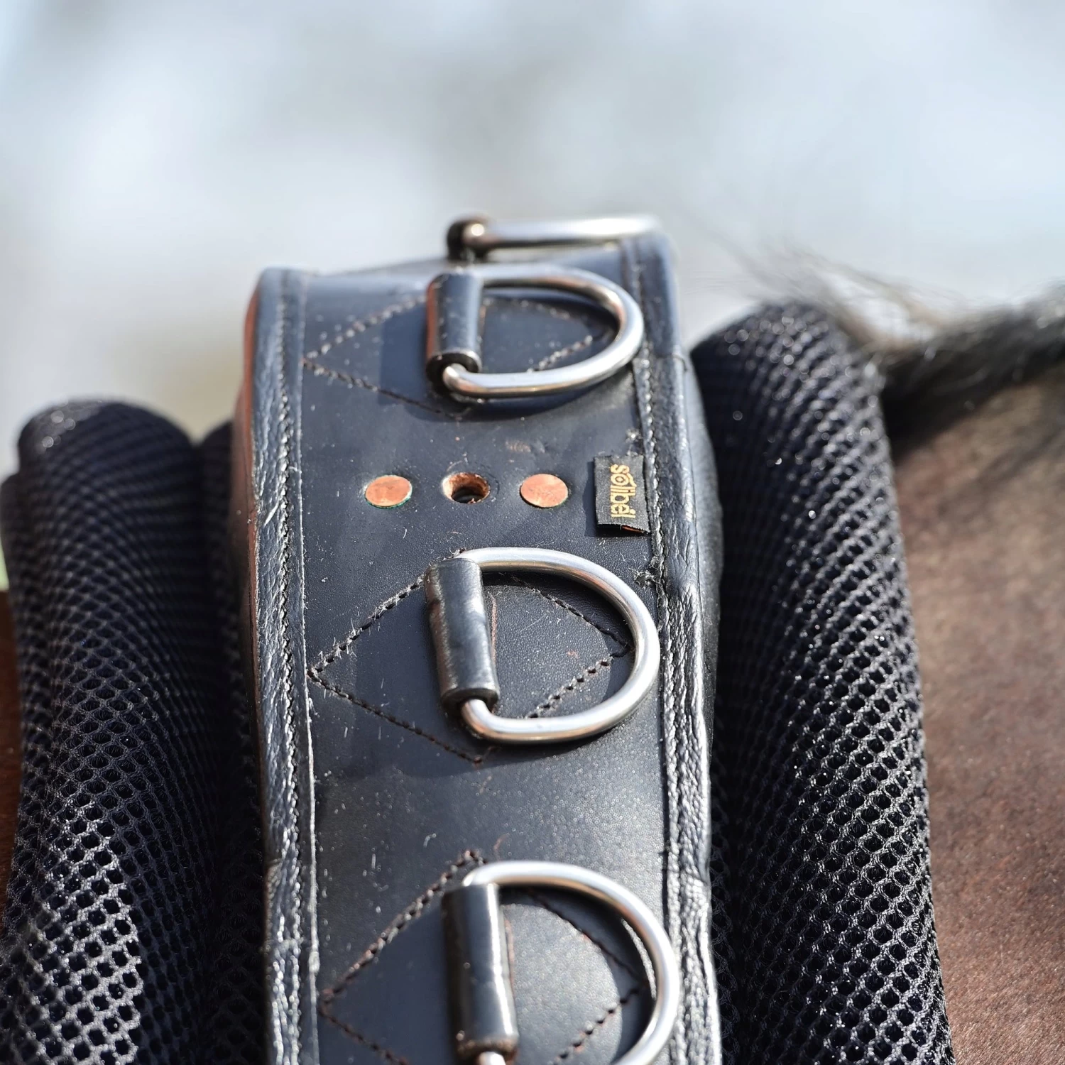 BUSSE Longiergurt-Unterlage 3D AIR EFFECT, Schwarz – Bild 3