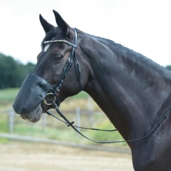 BUSSE Nüsternschutz FLY PROFESSIONAL Größe L, VB/WB, Schwarz