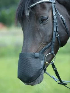 BUSSE Nüsternschutz FLY PROFFESIONAL ANATOMIC Schwarz, L (VB/WB)