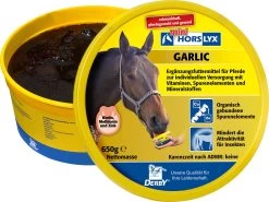 DERBY Horslyx Garlic, 650 G