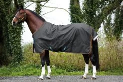 Horseware Ireland Amigo Bravo 12 Turnout Lite Shadow/ Navy & Rose, 160 Cm