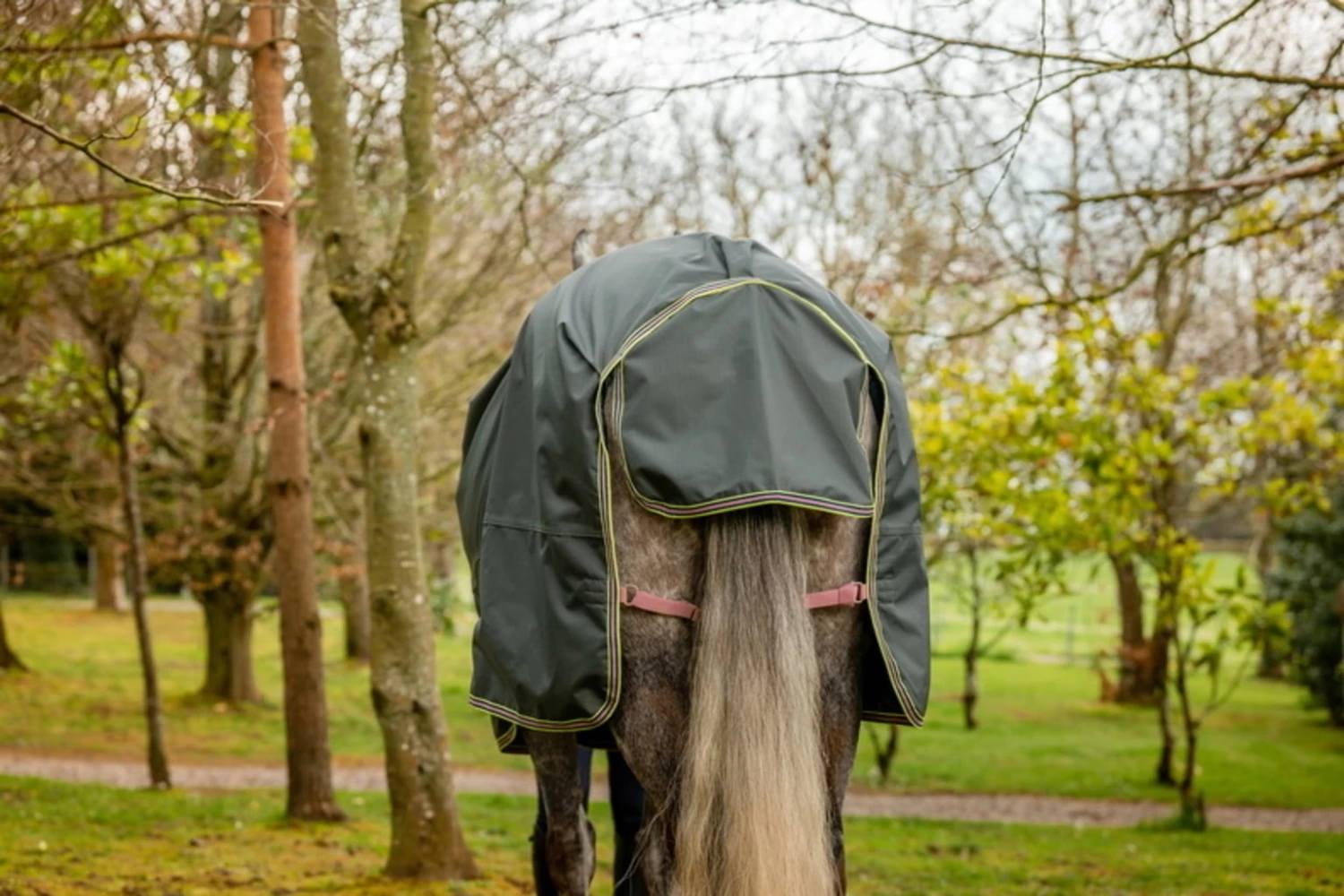 Horseware Ireland Amigo Hero Ripstop Lite Shadow / Rose & Navy, 140 Cm – Bild 4