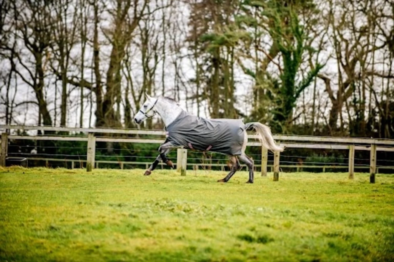 Horseware Ireland Amigo Hero Ripstop Lite Shadow / Rose & Navy, 140 Cm