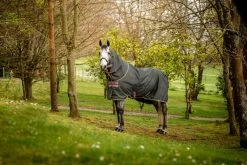 Horseware Ireland Amigo Hero Ripstop Plus Lite Shadow / Rose & Navy, 155 Cm