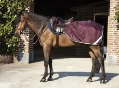 Horseware Ireland Amigo Ripstop Competition "feige", M