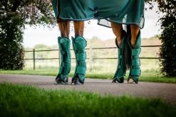Horseware Ireland Transportgamaschen Signature "Hunter Green", Warmblut