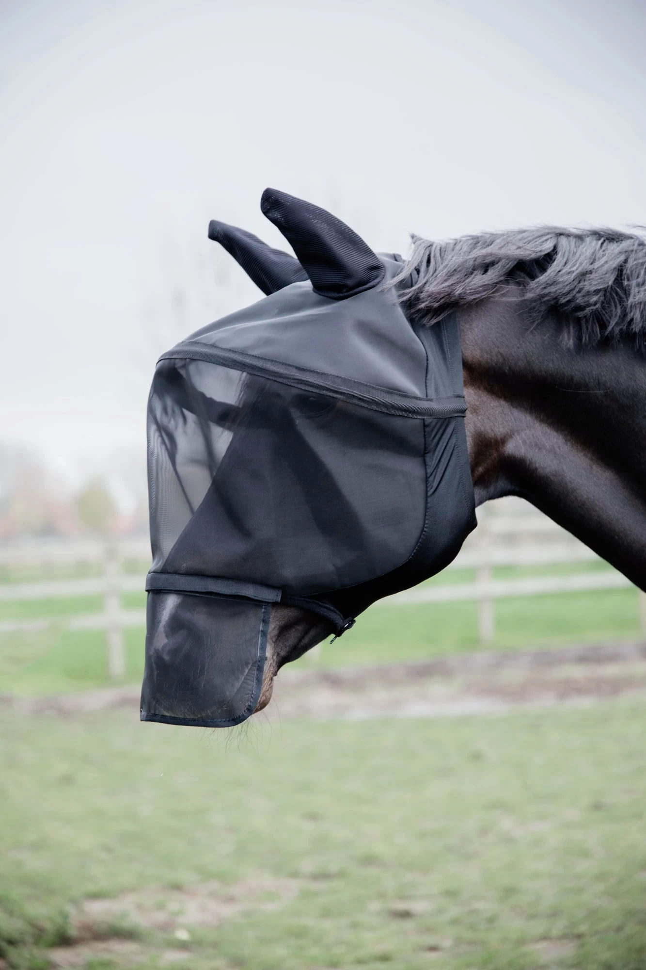 Kentucky Horsewear Fliegenmaske ''Pro'' Black, Full