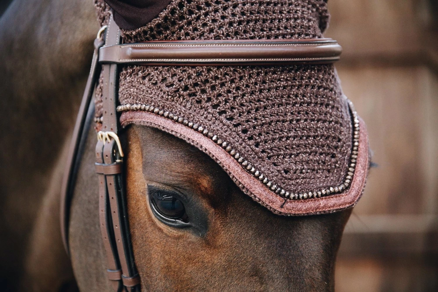 Kentucky Horsewear Fliegenohren "Wellington" Glitzerband, Braun – Bild 2