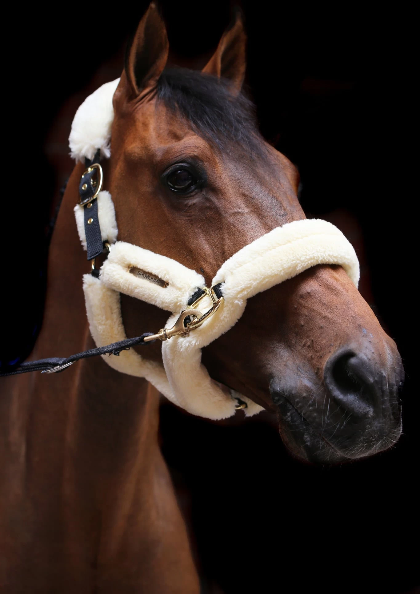 Kentucky Horsewear Transporthalfter Lammfell Natur, VB – Bild 4