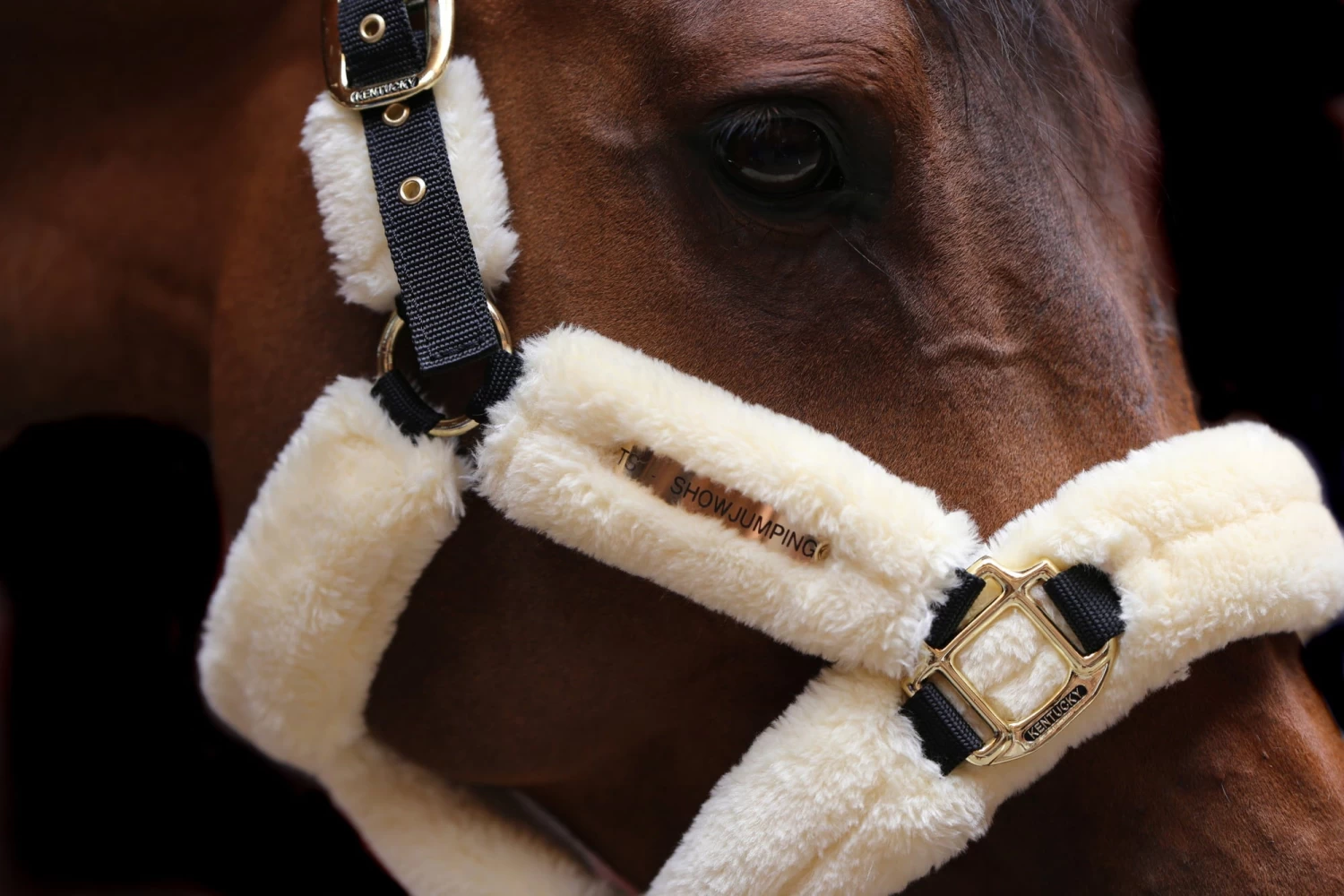 Kentucky Horsewear Transporthalfter Lammfell Natur, VB – Bild 5