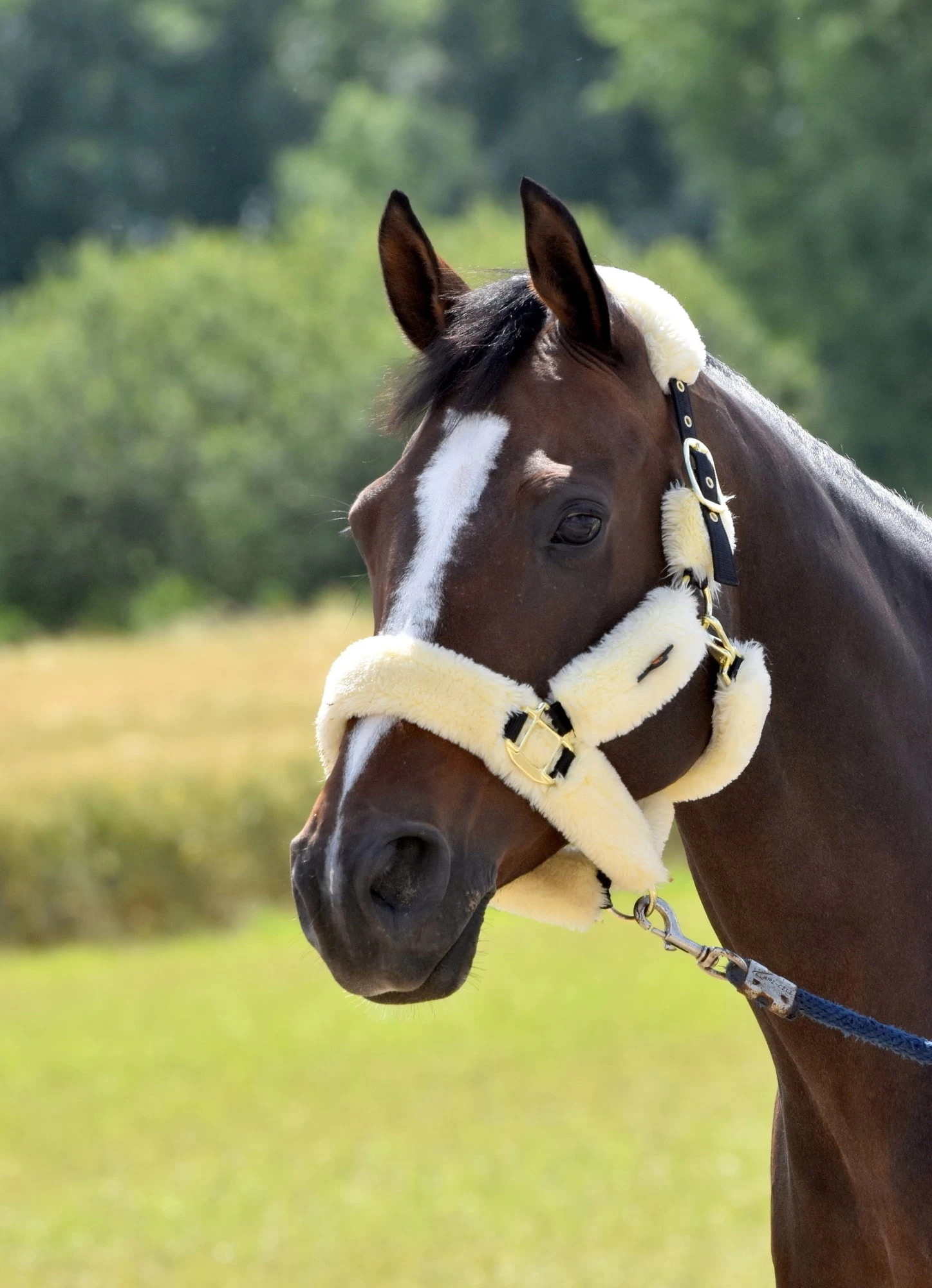 Kentucky Horsewear Transporthalfter Lammfell Natur, VB – Bild 6