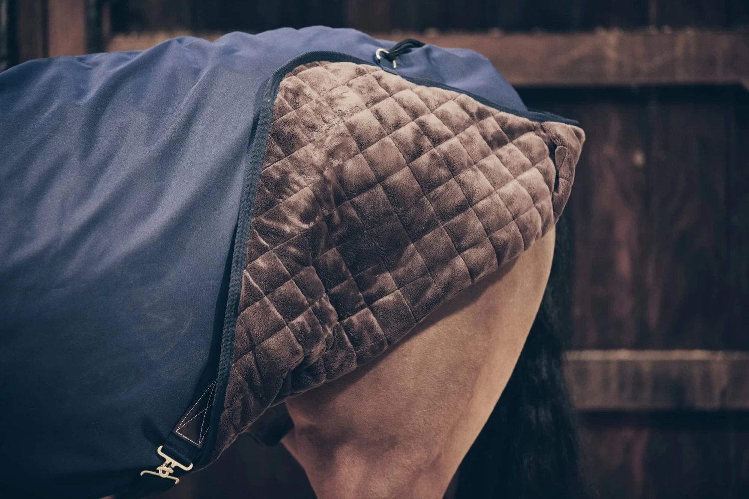 Kentucky Horsewear Wasserdichter Walker Rug, 155 Cm – Bild 3