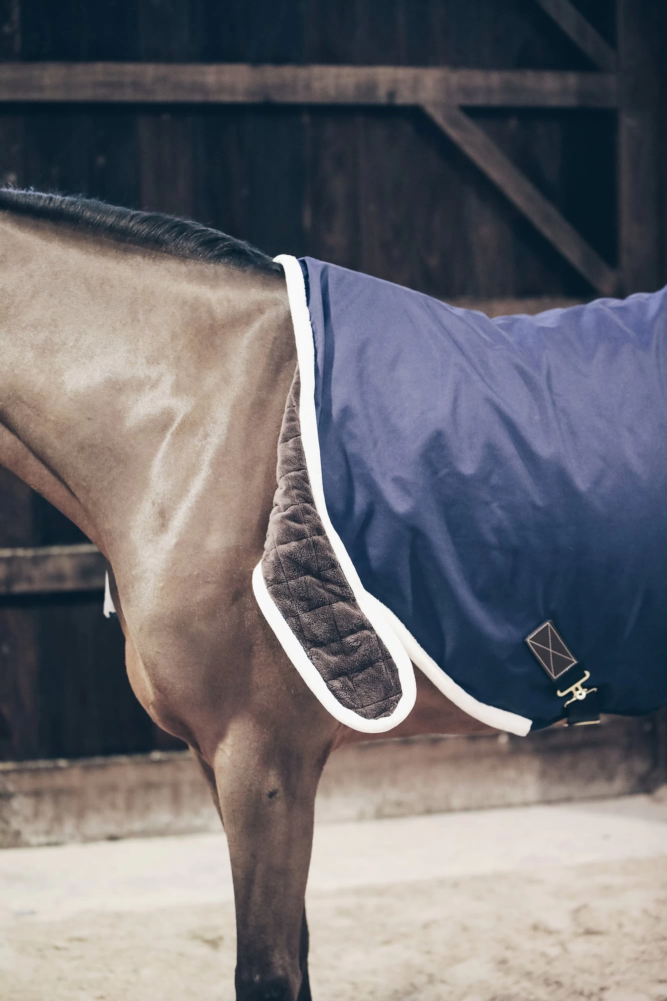 Kentucky Horsewear Wasserdichter Walker Rug, 155 Cm – Bild 4