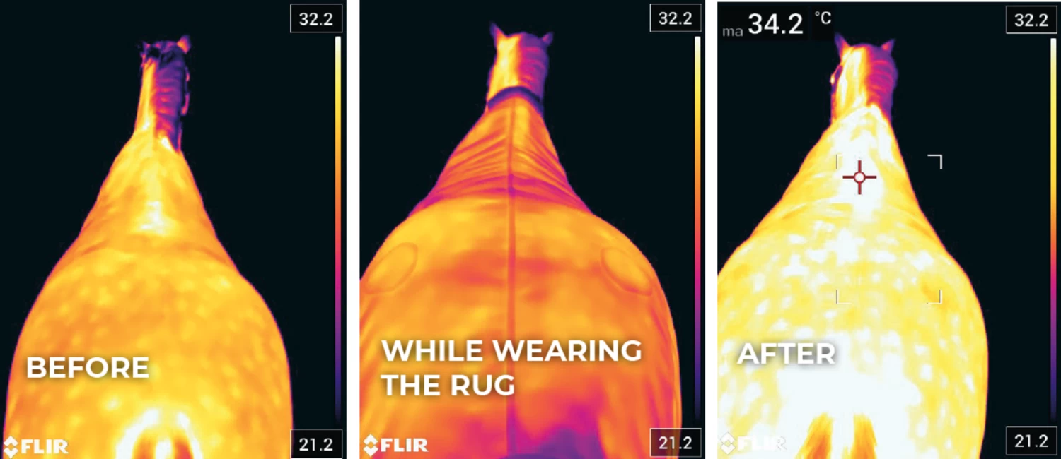 Kentucky Horsewear Wasserdichter Walker Rug, 155 Cm – Bild 5