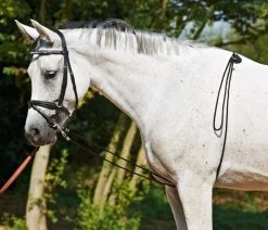 BUSSE Longierhilfe BUSSE HO