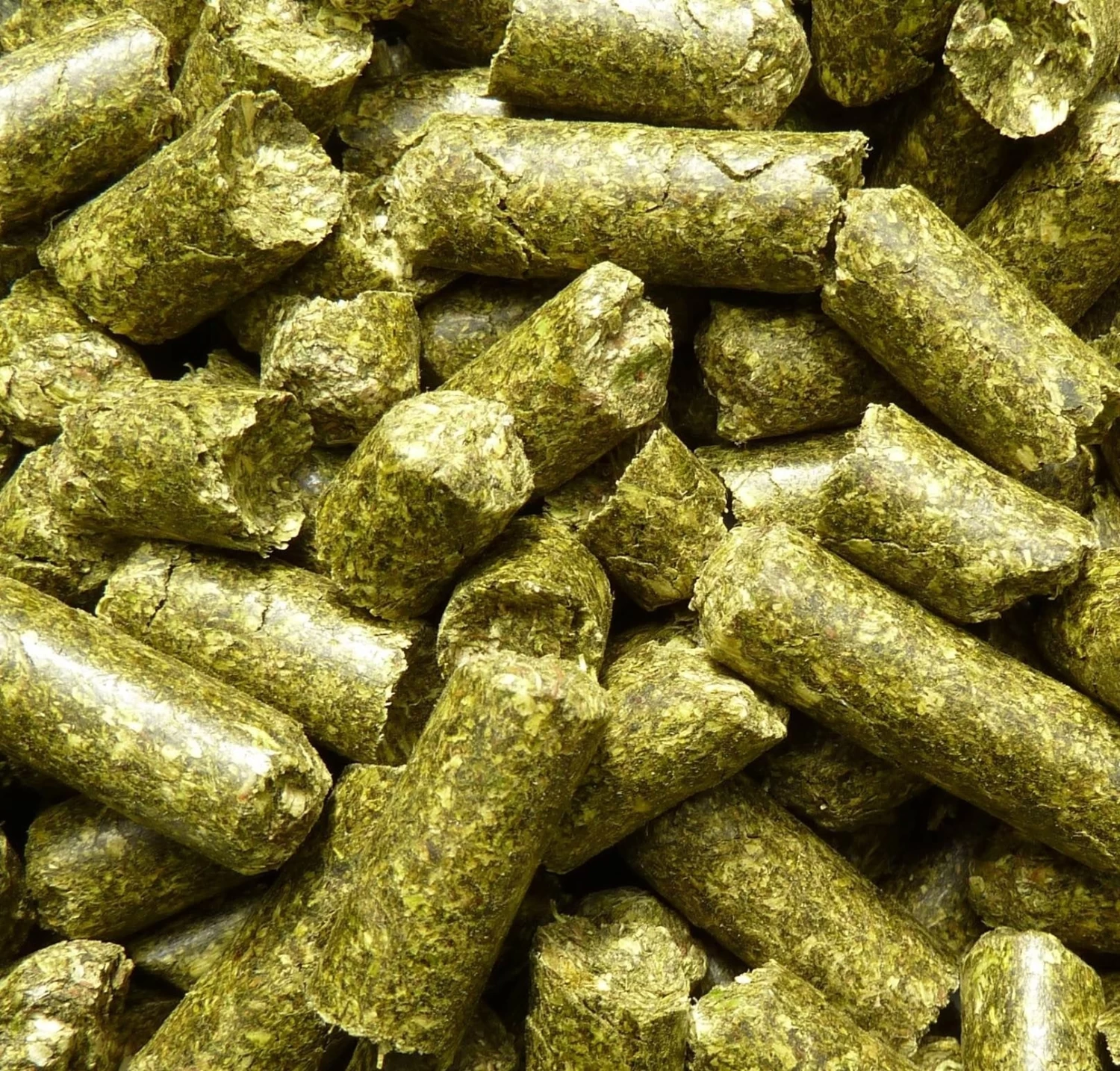 Nature's Best Esparsette Cobs, 18 Kg – Bild 2