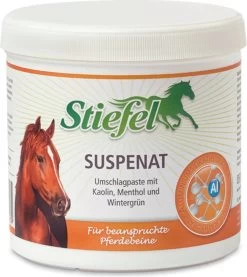 Stiefel Kaolin Paste, 2 Kg