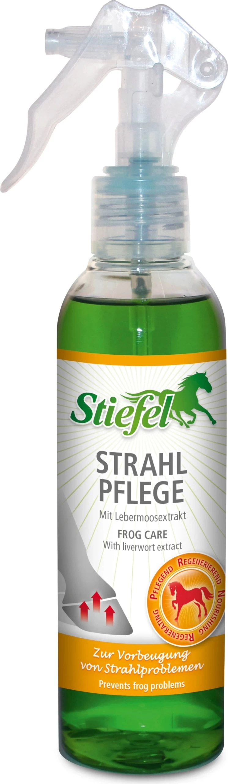 Stiefel Strahl Pflege, 200 Ml