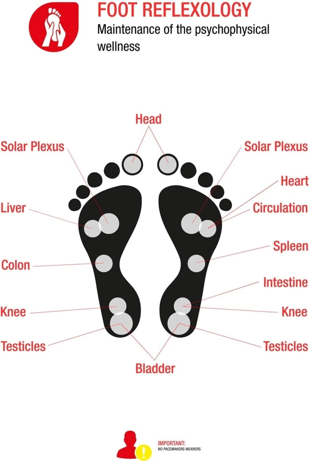 Zandonà Reitstrümpfe "Magnetic Equitation", 45/47 (1 Paar) – Bild 5